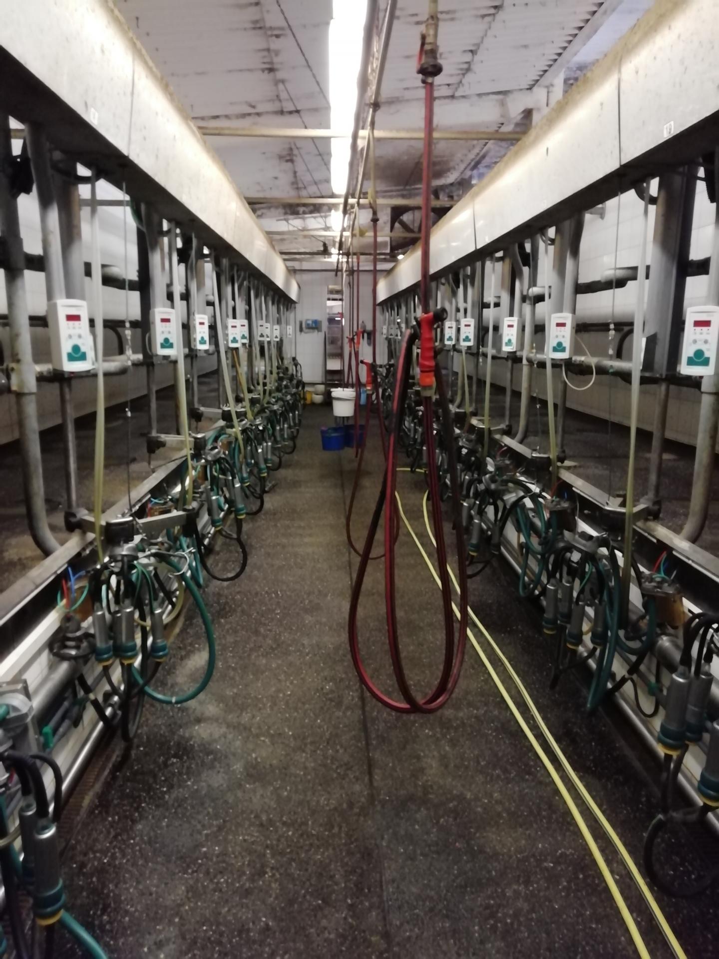Ein leerer Melkstand mit mechanischen Melkgeräten und auffälligen roten Schläuchen